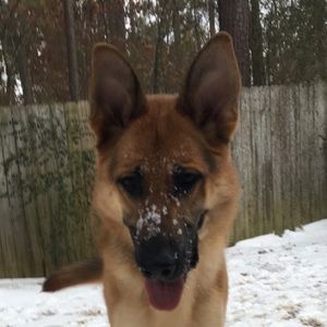 Meet your Posher, Aubrey